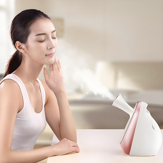 蒸臉器方案開發(fā)設計